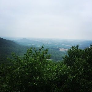 Meet your Posher, Emilia